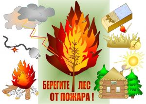 бер. л.