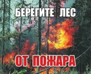 бер. лес